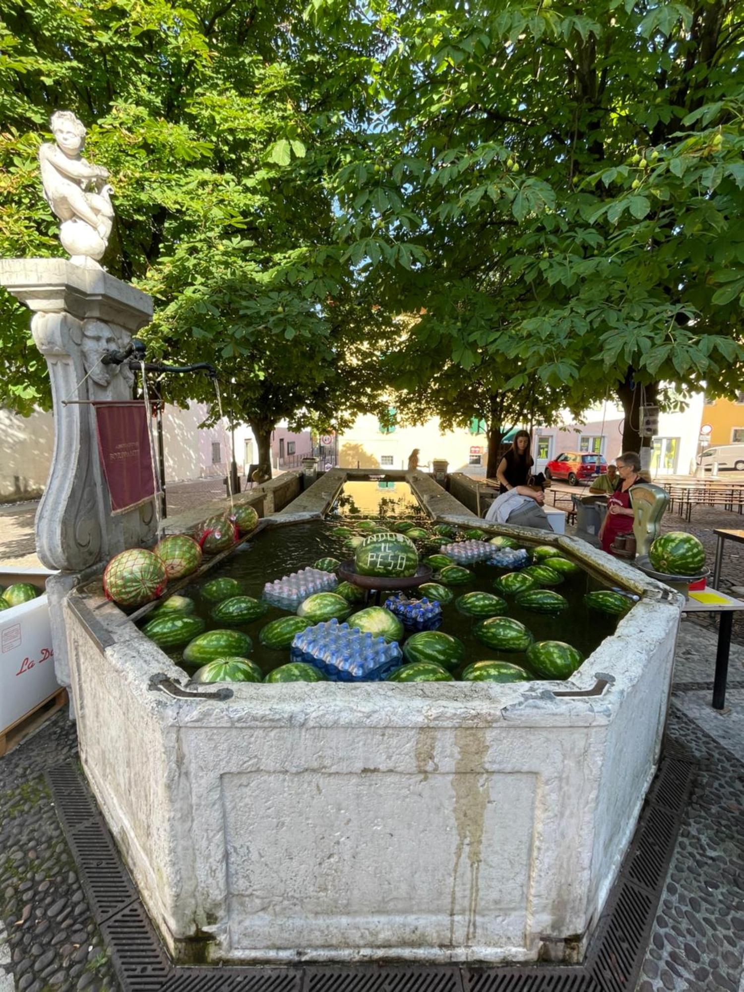 Casetta Alla Fontana Villa Lagarina Esterno foto